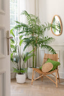 Palmier bambou en pot plastique vert/noir petit