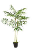 Palmier bambou en pot plastique vert/noir petit