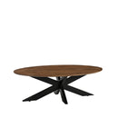 Salontafel James 130x70x43 cm