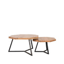 LABEL51 Salontafel Figure - Rough - Mangohout