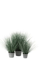Graminées J Line en pot avec planches bleu/vert L
