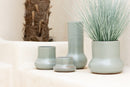 Graminées J Line en pot avec planches bleu/vert L