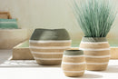 Graminées J Line en pot avec planches bleu/vert L