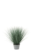 Graminées J Line en pot avec planches bleu/vert L