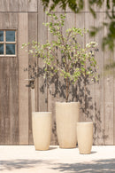 Set Of 3 Vases Round High Clay Beige