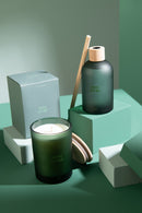 Reed Diffuser Accords Essentiels Bois Givré-250Ml