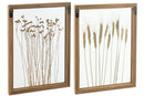 Wall Decoration Cereal Pinewood/Glass Transparent/Brown Assortment Of 2