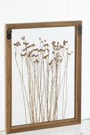 Wall Decoration Cereal Pinewood/Glass Transparent/Brown Assortment Of 2
