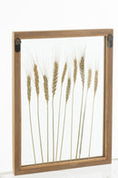 Wall Decoration Cereal Pinewood/Glass Transparent/Brown Assortment Of 2