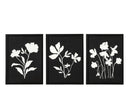 Framed Picture Flowers Mdf Black/White Assortment Of 3
