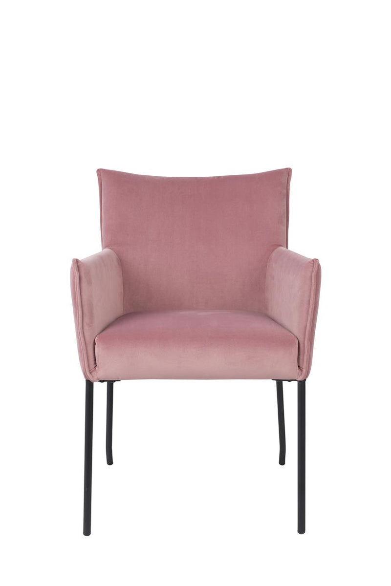 Armchair Dion Velvet Pink - Majorr