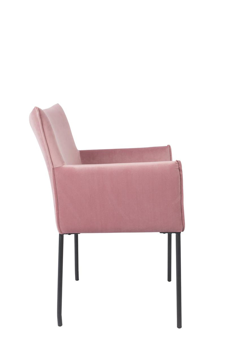 Armchair Dion Velvet Pink - Majorr