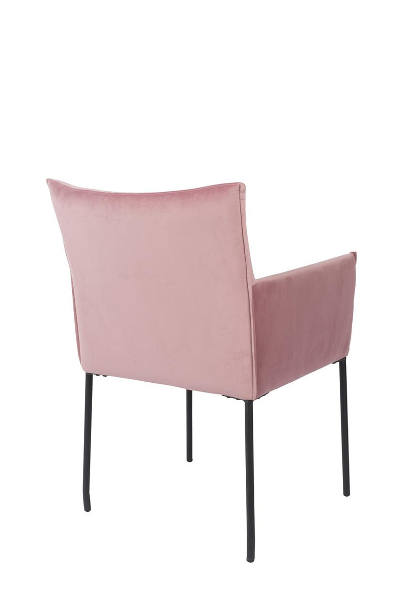 Armchair Dion Velvet Pink - Majorr