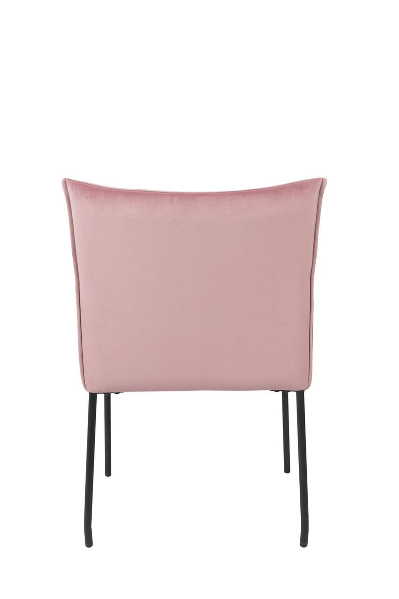 Armchair Dion Velvet Pink - Majorr