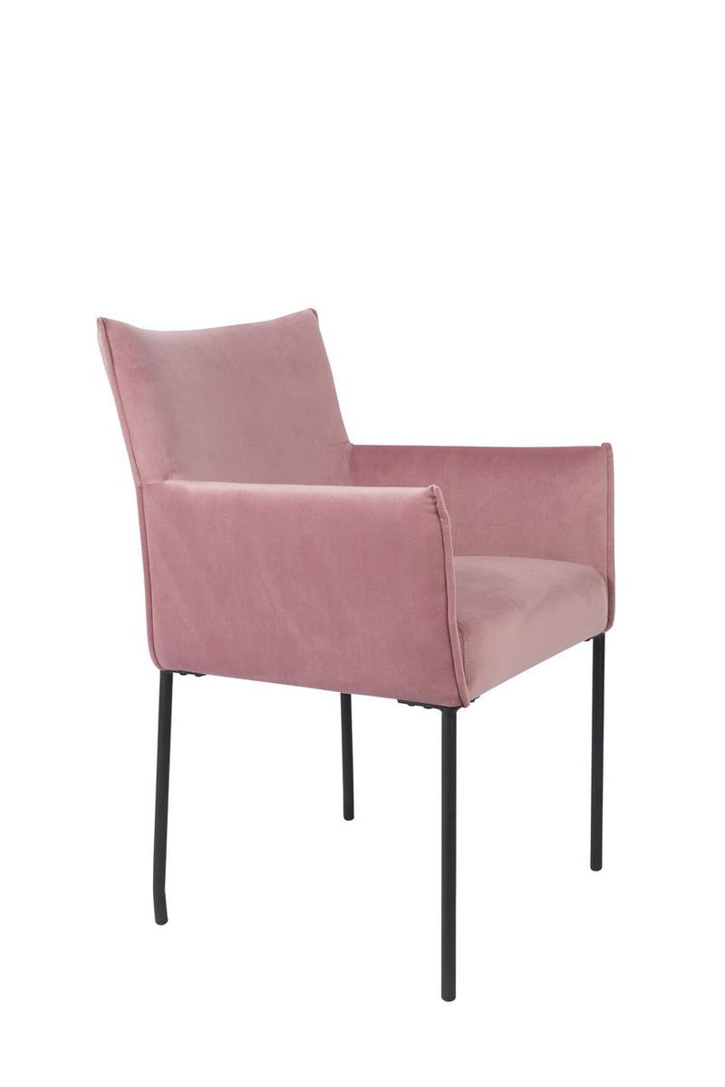 Armchair Dion Velvet Pink - Majorr