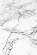 Table Floris Black - Majorr