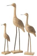 Decoration Bird Mango Wood/Metal Beige/Black Large - Majorr