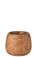 Jar Paulownia Brown - Majorr