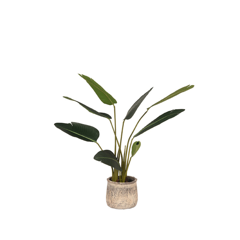 LABEL51 Strelitzia - Groen - Kunststof - 100 cm - Majorr