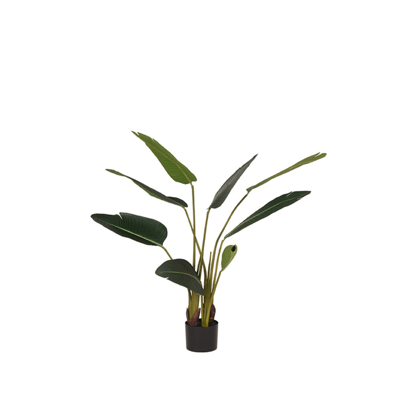 LABEL51 Strelitzia - Groen - Kunststof - 100 cm - Majorr