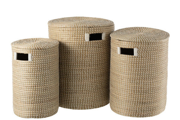 Set Of 3 Baskets + Lid Seagrass Natural/White - Majorr