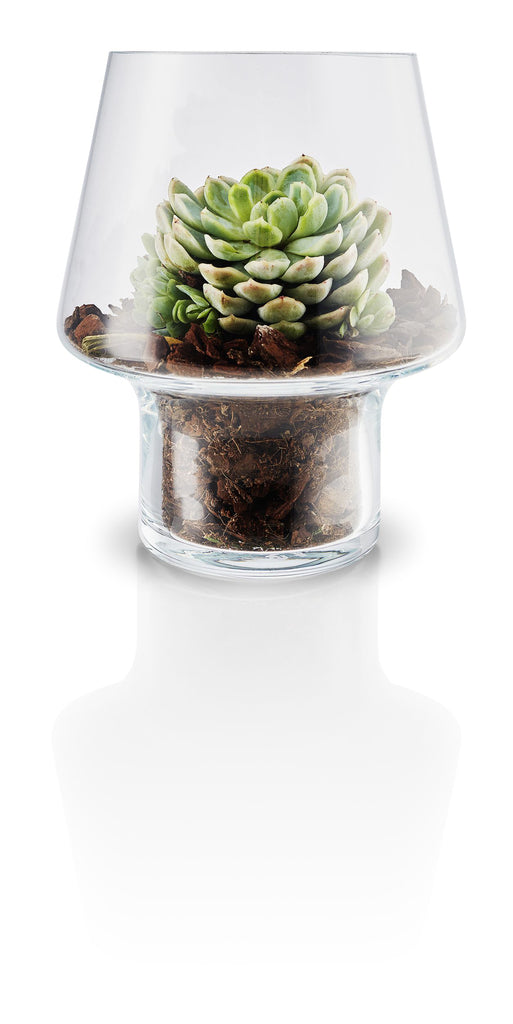 Succulent Vaas 15cm - Majorr