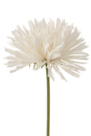 Vase Organic Ceramic Beige/Light Brown Small - Majorr