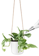 Bloempot met Bewateringssysteem Hangend Ø 15 cm - Majorr