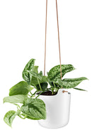 Bloempot met Bewateringssysteem Hangend Ø 15 cm - Majorr