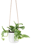 Bloempot met Bewateringssysteem Hangend Ø 15 cm - Majorr