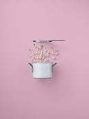 White Line Kookpan Ø 16 cm 2,5 liter - Majorr