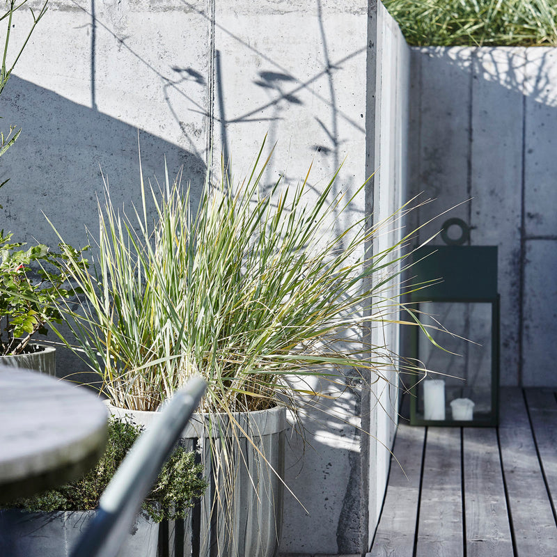 House Doctor Planten, Concrete, Lichtgrijs - Majorr