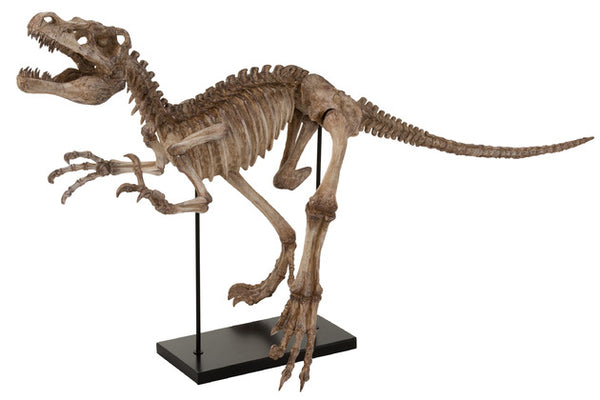 J Line Dino Raptor Voet Poly Lichtbruin - Majorr