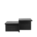 LABEL51 Salontafel Skip - Zwart - Mangohout - Majorr